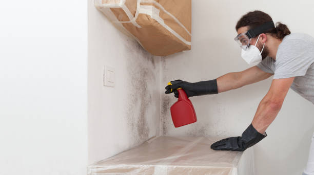 Professional Attic Mold Remediation technician working in Locust Hill, VA