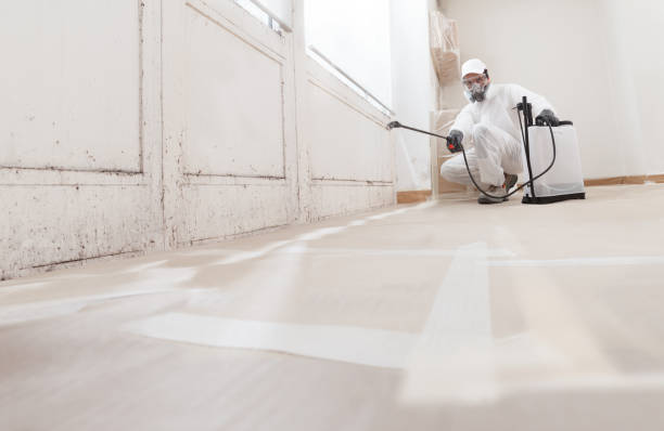 24/7 Emergency Attic Mold Remediation experts in Locust Hill, VA