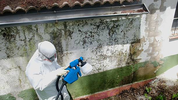Top rated local Attic Mold Remediation specialists in Locust Hill, VA